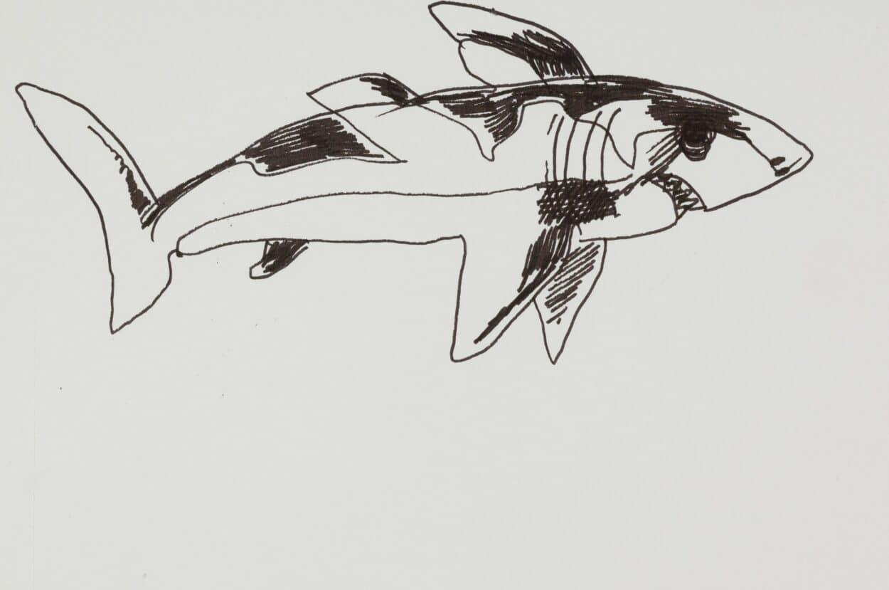 dessin_017_1-scaled