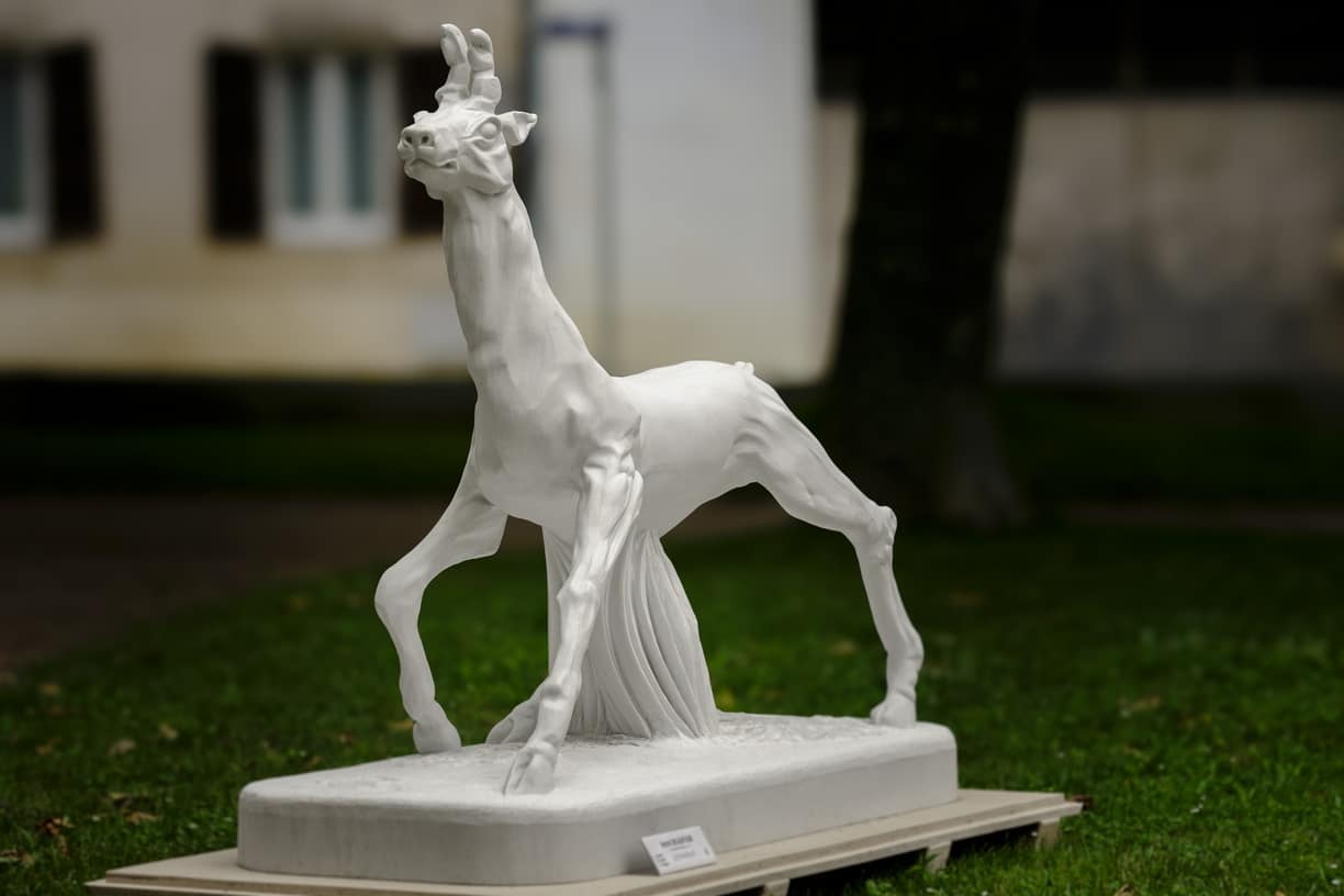 le-chevreuil_005_1224x816